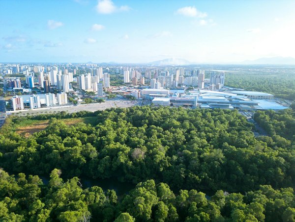 Libérez le Potentiel Pédagogique des Jeux de Société : Une Approche Innovante pour l'Éducation